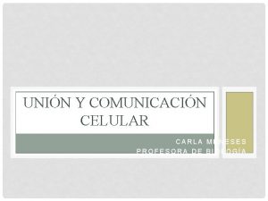 UNIN Y COMUNICACIN CELULAR CARLA MENESES PROFESORA DE