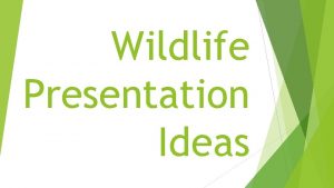 Wildlife topics for presentation