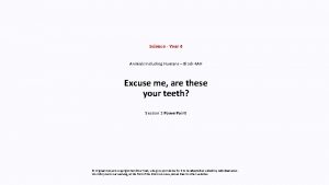 Animals including humans year 4 Animals including humans year 4