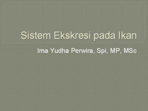 Sistem Ekskresi pada Ikan Ima Yudha Perwira Spi