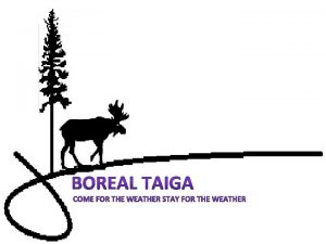 Boreal forest features