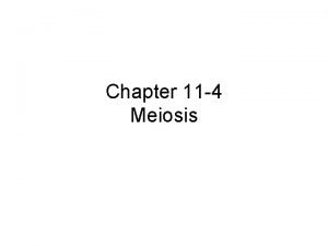 Chapter 11 4 Meiosis Meiosis Vocabulary Diploid Haploid
