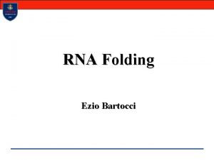 RNA Folding Ezio Bartocci Attivit funzionali dellRNA Le