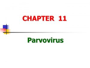 CHAPTER 11 Parvovirus Definitions of the virus n
