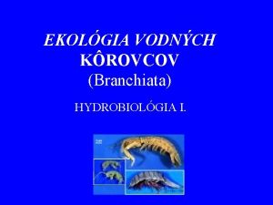 EKOLGIA VODNCH KROVCOV Branchiata HYDROBIOLGIA I 3 Spinicaudata