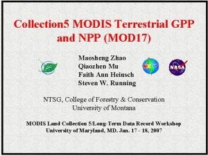 Collection 5 MODIS Terrestrial GPP and NPP MOD