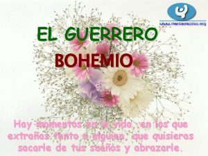 EL GUERRERO BOHEMIO Hay momentos en la vida