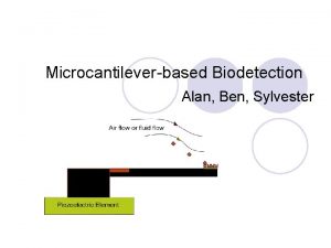 Microcantileverbased Biodetection Alan Ben Sylvester Principle of Microcantilevers