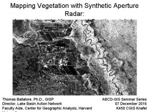 Mapping Vegetation with Synthetic Aperture Radar Applications in