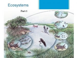 An ecosystem contains