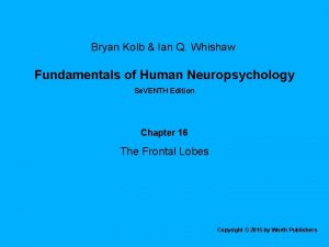 Fundamentals of human neuropsychology