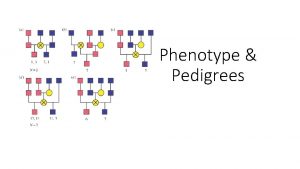 Phenotype pedigree chart