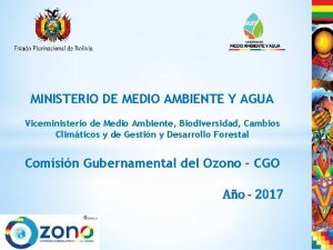 MINISTERIO DE MEDIO AMBIENTE Y AGUA Viceministerio de