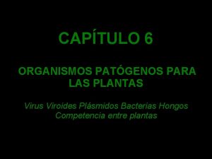 CAPTULO 6 ORGANISMOS PATGENOS PARA LAS PLANTAS Virus