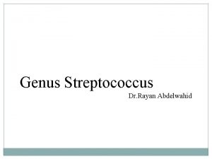 Genus Streptococcus Dr Rayan Abdelwahid Genus Streptococcus Members