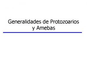 Generalidades de Protozoarios y Amebas Clula Eucariota vs
