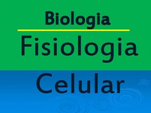 Biologia Fisiologia Celular Fotossntese A fotossntese o processo