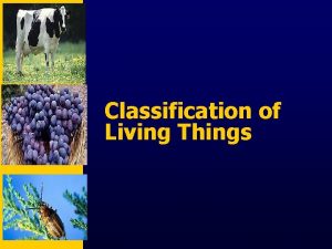 Classification of Living Things Finding Order in Diversity
