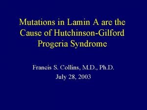 Mutations in Lamin A are the Cause of