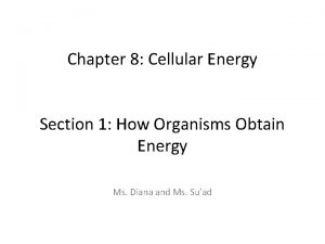 Chapter 8 section 1 how organisms obtain energy