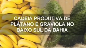 CADEIA PRODUTIVA DE PLTANO E GRAVIOLA NO BAIXO