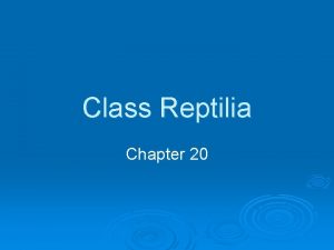 Class Reptilia Chapter 20 Class Reptilia Reptilia to