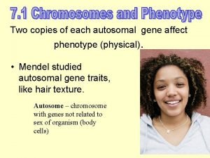 Two copies of each autosomal gene affect