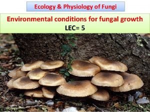 Ecology Physiology of Fungi Environmental conditions for fungal