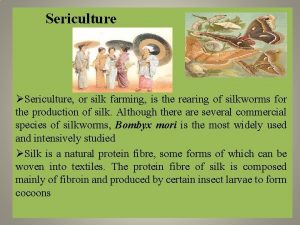 Sericulture Sericulture or silk farming is the rearing