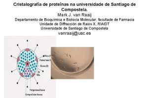 Cristalografa de protenas na universidade de Santiago de