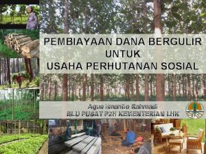 PEMBIAYAAN DANA BERGULIR UNTUK USAHA PERHUTANAN SOSIAL Agus