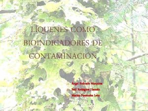 LQUENES COMO BIOINDICADORES DE CONTAMINACIN ngel Redondo Marquina