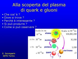 Alla scoperta del plasma di quark e gluoni