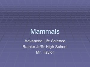 Mammals Advanced Life Science Rainier JrSr High School