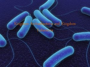 Kingdom Archaebacteria and Kingdom Eubacteria Who would liv