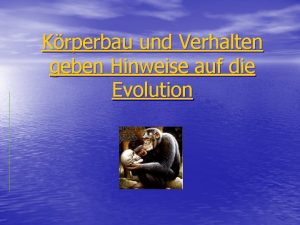 Krperbau und Verhalten geben Hinweise auf die Evolution