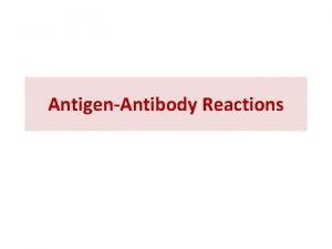 AntigenAntibody Reactions Antigenantibody interactions v Are reversible specific
