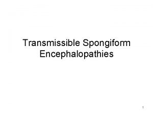 Transmissible Spongiform Encephalopathies 1 Kuru Since the early