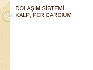 Kalbin facies diaphragmatica