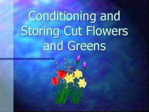 Conditioning and Storing Cut Flowers and Greens Long