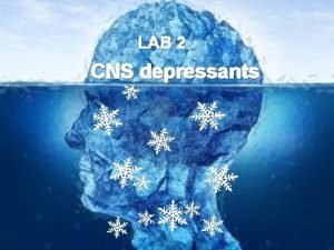 LAB 2 CNS depressants Stimulants Depressants A stimulant