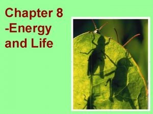 Chapter 8 Energy and Life Living things need