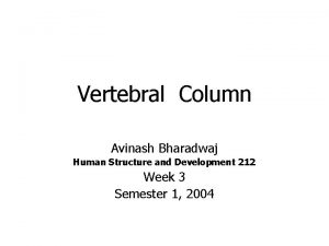 Vertebral Column Avinash Bharadwaj Human Structure and Development