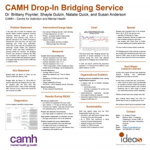 Bridging clinic camh