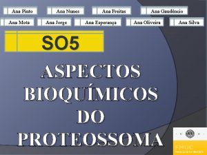 Ana Pinto Ana Mota Ana Nunes Ana Jorge Ana Pinto Ana Mota Ana Nunes Ana Jorge