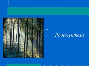 Photosynthesis Photosynthesis in nature Autotrophs biotic producers photoautotrophs
