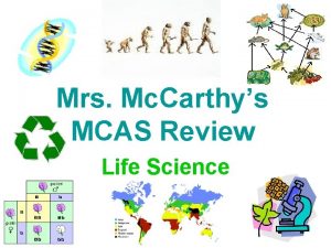 Mrs Mc Carthys MCAS Review Life Science th