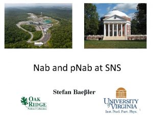 Nab and p Nab at SNS Stefan Baeler