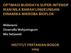 OPTIMASI BUDIDAYA SUPERINTENSIF IKAN NILA RAMAH LINGKUNGAN DINAMIKA