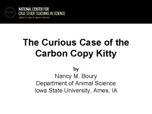 The curious case of the carbon copy kitty The curious case of the carbon copy kitty